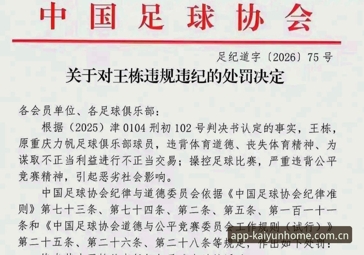中国足协第三批禁足名单深度评测：云开体育平台赛事数据同步下的行业整顿全解析