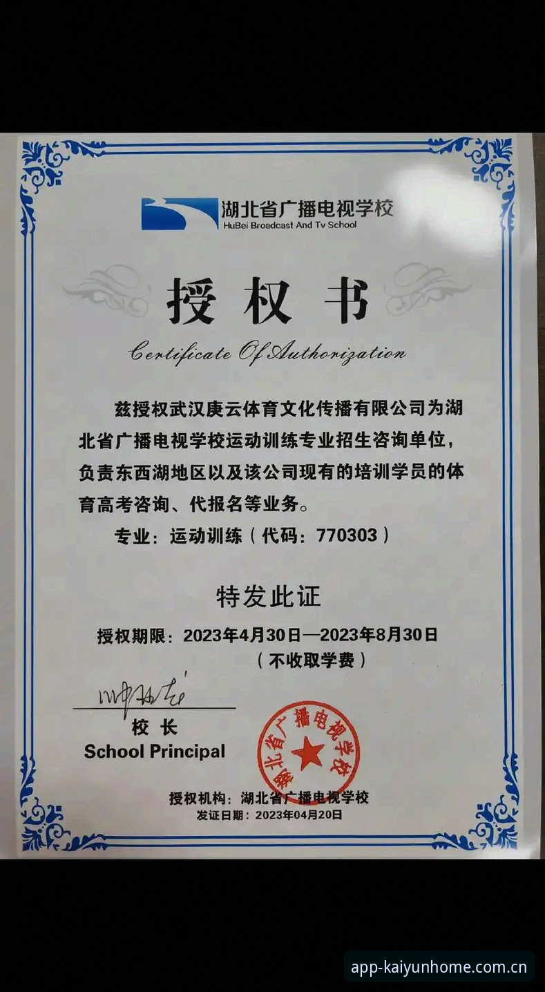 云开体育平台赛事数据使用教程：从下载到避坑全流程